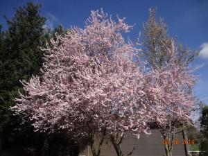 DSC04977