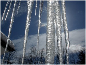 winter