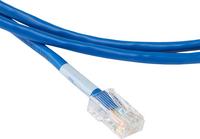 Close up image of Cat5e and Cat6 Copper Patch Cords