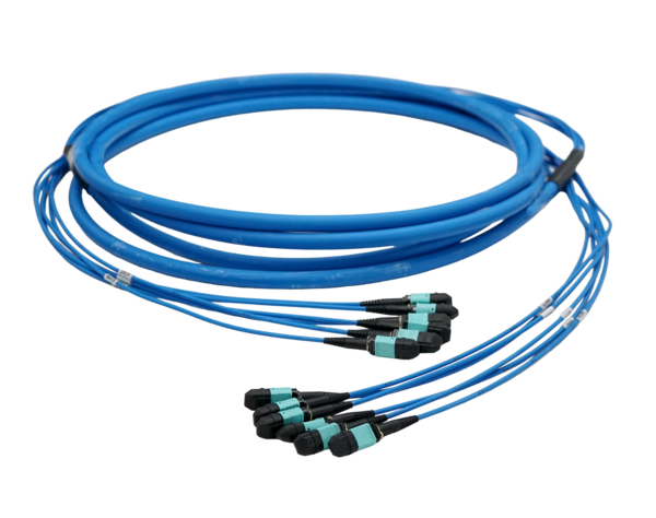 MPO indoor trunk cable assemblies in a loop