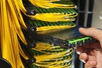 Close up, Inside Shot of High Density Fiber Distribution Frame Showing Cassette Being Inserted 