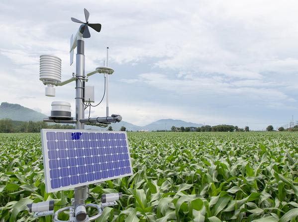 Intelligence of Things